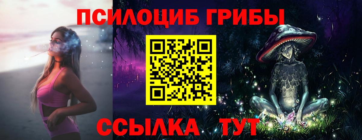 Псилоцибиновые грибы Psilocybe Белорецк